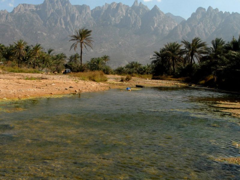 Yemeni government and the United Arab Emirates agreed on a deal for the UAE forces to withdraw from the strategic Socotra Island. (AFP/ File Photo)