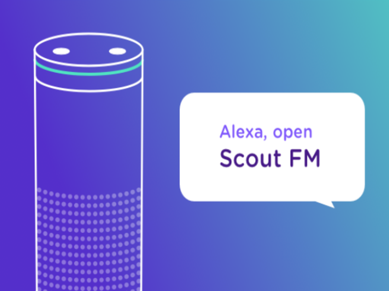 فئة الأكثر تسلية: Scout FM وهو تطبيق لسماع المدونات الصوتية.