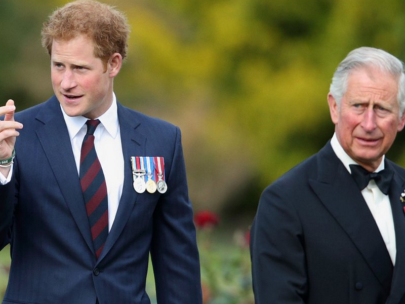 He plotted to kill Prince Charles so that Prince Harry could be king. (Twitter)