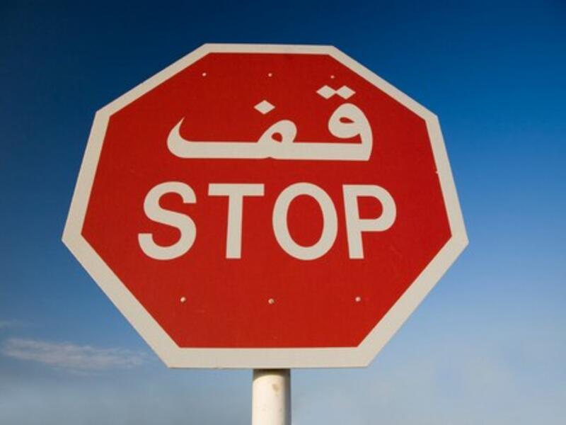 ديربورن بولاية ميشيغان:الغرب الأوسط الأمريكي أصبح أفضل الأماكن للعرب الساعين للحصول على الحياة في أمريكا. معظم المهاجرين فيها هم من العراقيين، ولكن بدأت الهجرة من جميع أنحاء منطقة الشرق الأوسط في 1930 عندما أسس هنري فورد مصنع السيارات في المدينة، 