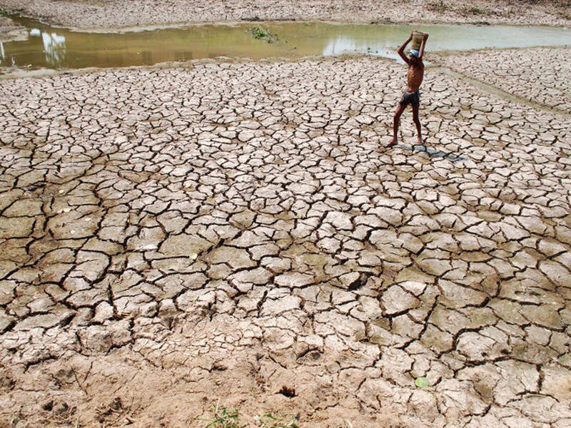Failed states Syria, Libya and Yemen all face rapid desertification, which has played a role in political instability, experts say. (AFP/File)