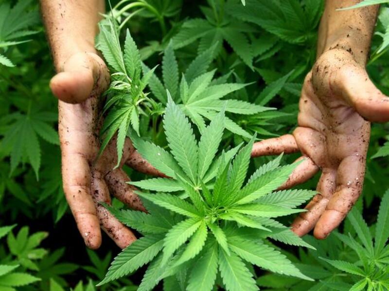 Police discovered the drugs, which have a value of around EGP 1.5 million.