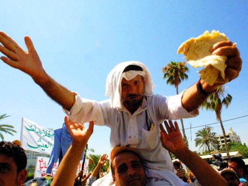 Can Arab Spring economies face up to the IMF and World Bank?