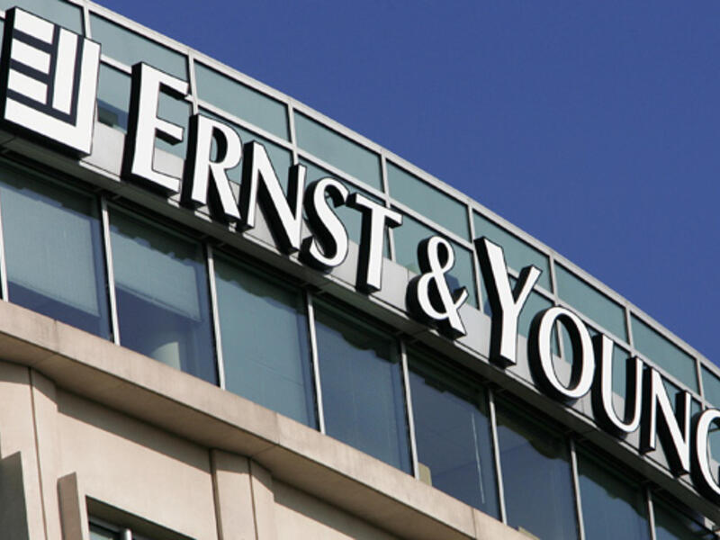 In 2011, a small group of activists and shareholders informally investigated the performance of the company, discovering several instances of corruption.