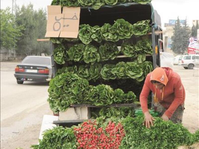 The raids have had a direct impact on area markets, which have raised produce prices by as much as 100 percent. Farmers in Jazan, Baha, Taif and Asir also reported raids, which in turn have affected the flow of supplies to markets.