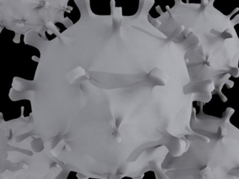 The SARS virus in close-up