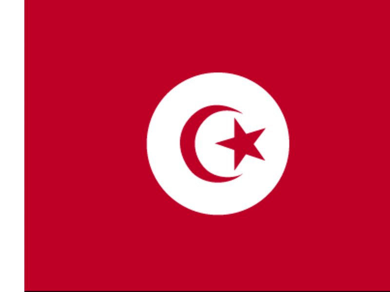 Tunisia's national flag