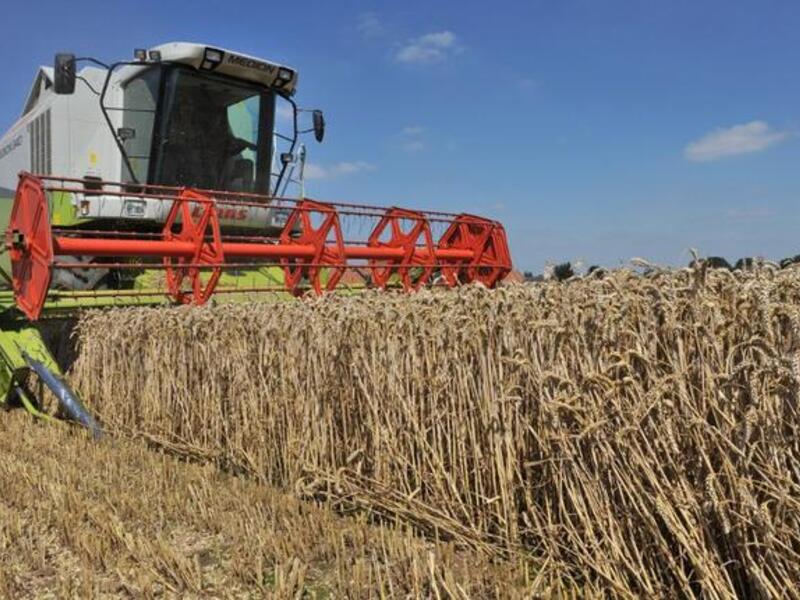 Tunisia has achieved remarkable results in term of production of wheat.