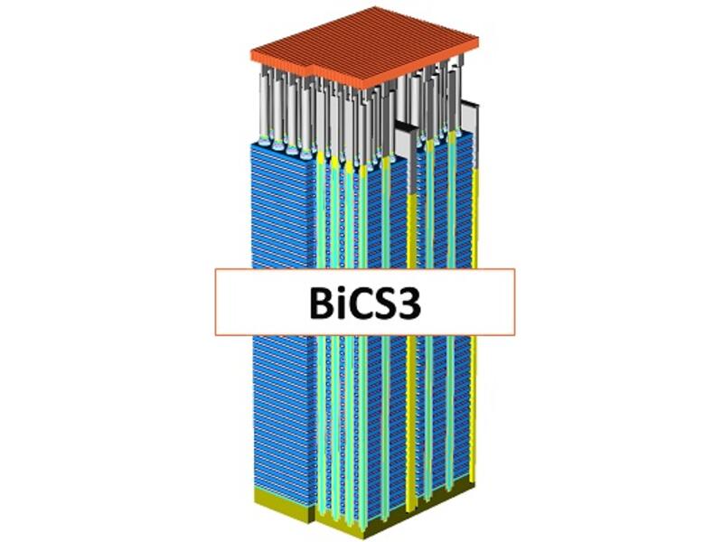 BICS