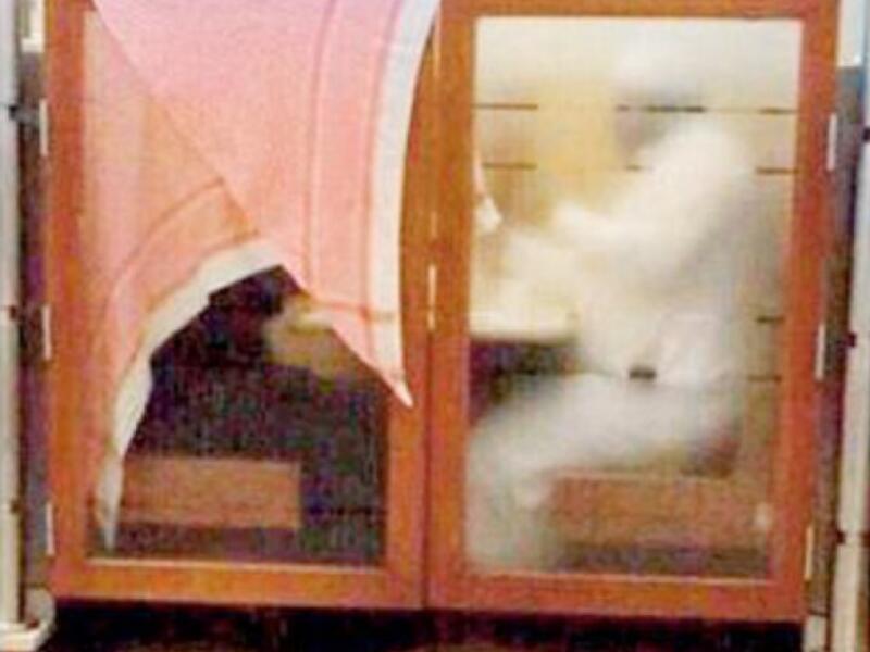A foolproof approach to concealment. (Social media)