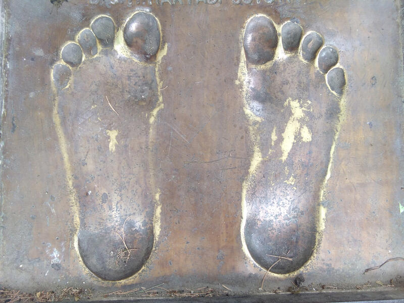 (Shutterstock/ File Photo)