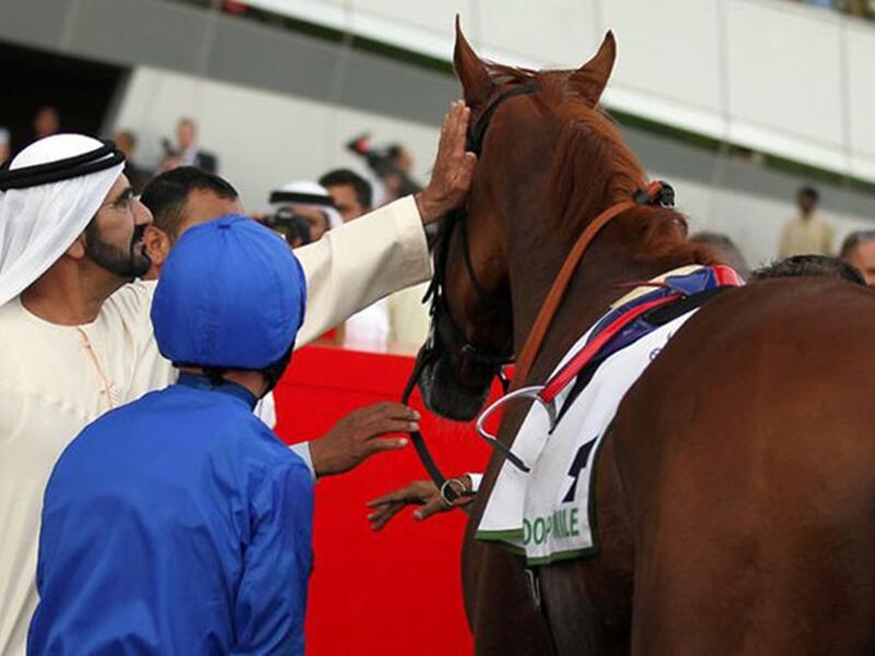 بيع جواد أصيل صغير مقابل 2.6 مليون يورو لحساب حاكم إمارة دبي الشيخ محمد بن راشد آل مكتوم خلال مزاد في مدينة دوفيل غرب فرنسا على الخيول الصغيرة المعدة للمشاركة مستقبلا في السباقات، في رقم قياسي تاريخي لهذه المزادات بحسب المنظمين.