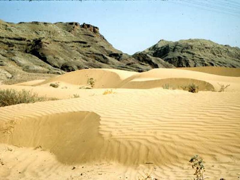 منطقة أغاجاري في إيران - 53.3 درجة مئوية.
