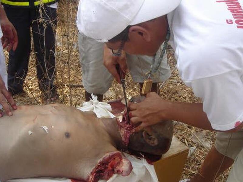 أكل البشر: تمنع القوانين في ولاية إيداهو الأميركية أكل لحوم البشر، وهي المكان الوحيد في العالم الذي يتبنى قانونًا مماثلًا.