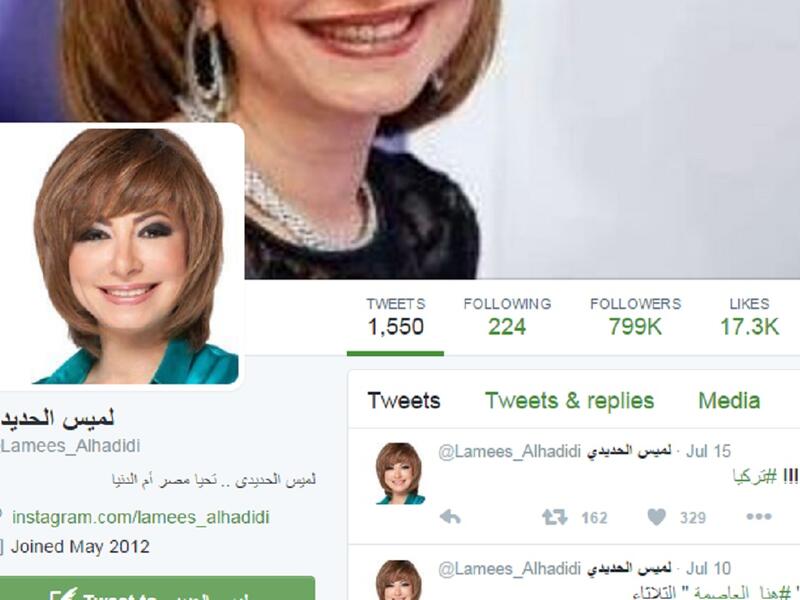 غردت الاعلامية المصرية لميس الحديدي على الانقلاب الفاشل الذي حدث في تركيا حيث قالت "جماعة الاخوان الإرهابية الى مزبلة التاريخ #تركيا"