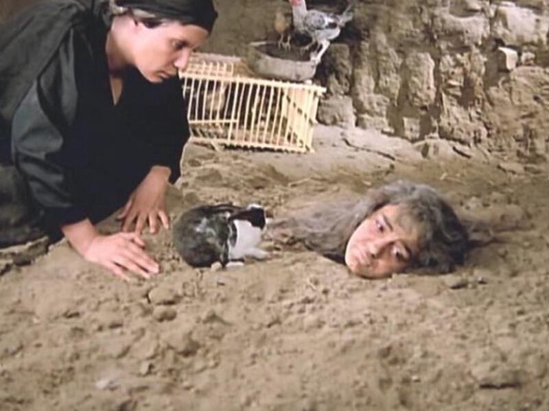 السينما: من أهم الأدوار التي لعبتها "الطوق والأسورة" و"المرأة والقانون" و"فضيحة العمر" و"عرق البلح" و"ميت فل" إذ فاقت أعمالها الـ 25 عملًا.
