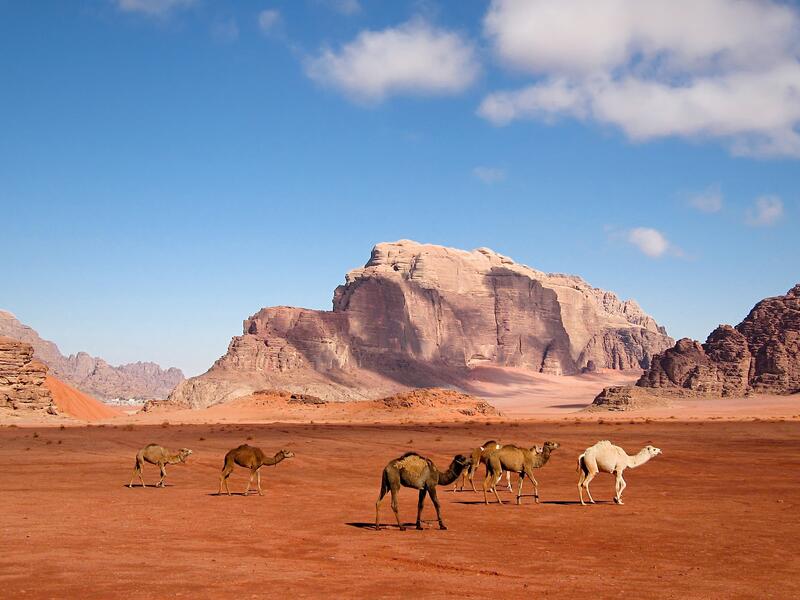 wadi rum