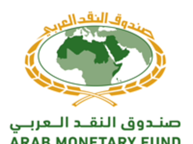 البنك المركزي المصري وصندوق النقد العربي ينظمان ورشة عمل لإلحاق البنوك العاملة في جمهورية مصر العربية في منصة "بنى" للمدفوعات العربية
