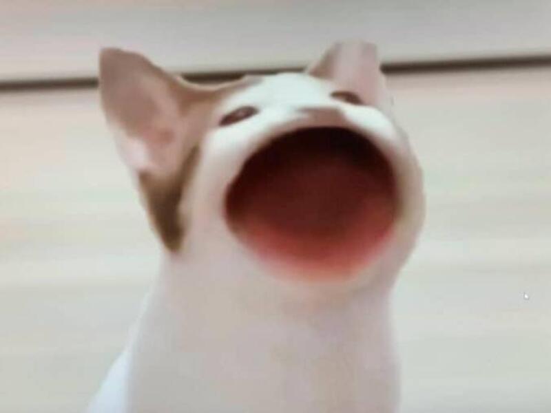 POPCAT Click