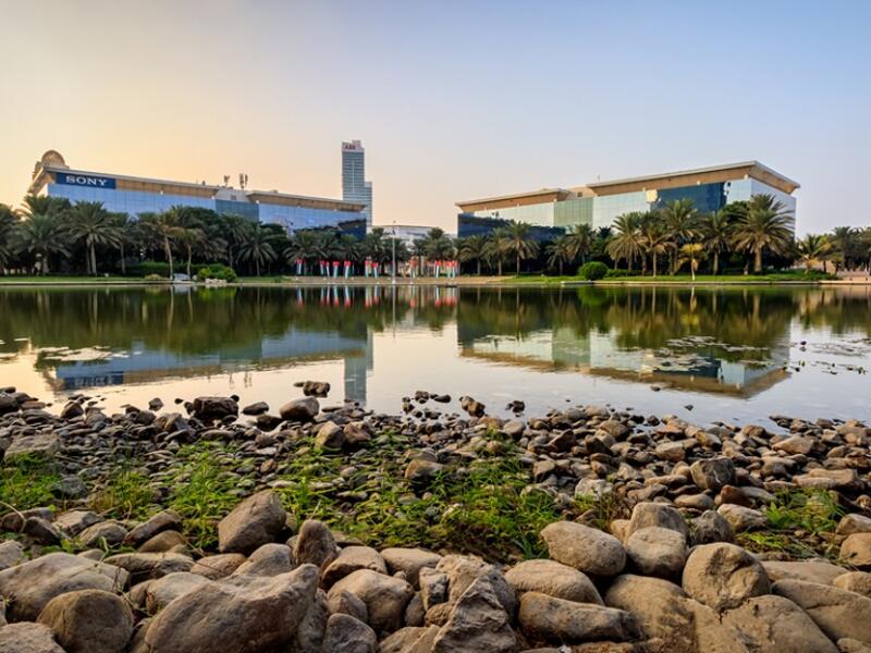 There will be pockets of technology where big corporates will be interested