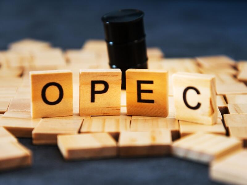The organization stressed that all countries should abide by the OPEC + charter. (Shutterstock) UAE Is Over 100 Percent Committed to OPEC+ Agreement
