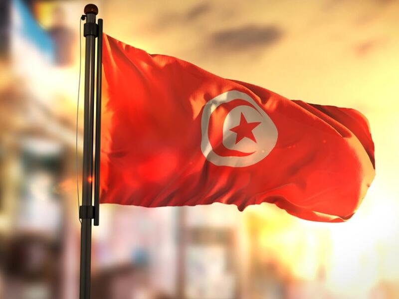 Tunisia: Olive Oil Exports Expected To Reach Record High Despite Crisis