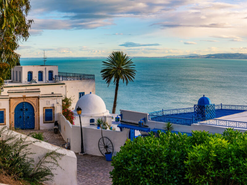 9. Tunisia