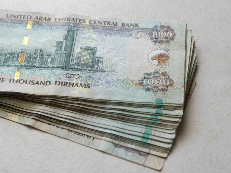 الإمارات تدعم شركات صغيرة ومتوسطة بـ 114 مليون دولار