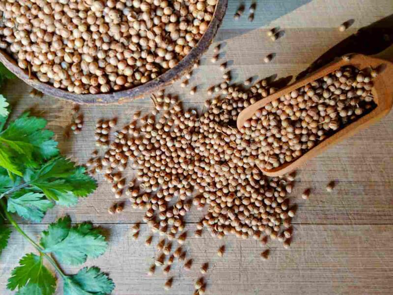 بذور البقدونس تعالج التهابات المسالك البولية