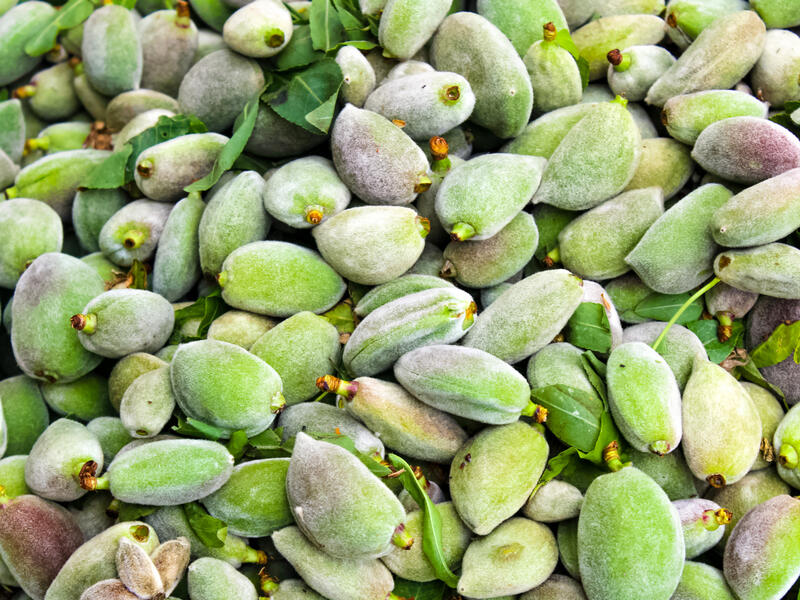 اللوز الأخضر غني بالدهون الا انها من النوع الأحادي والغير مشبع