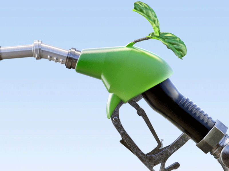 US Oil Refiners Aims at Preceding Canadians in Making Renewable Diesel