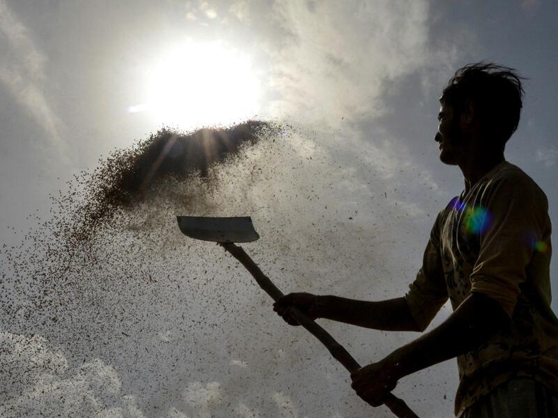 An Indian labourer uses a shovel to separate wheat grains from the husk at a local distribution point on the outskirts of Amritsar on April 30, 2019, on the eve of the International Labour Day celebrated on May 1.  NARINDER NANU / AFP