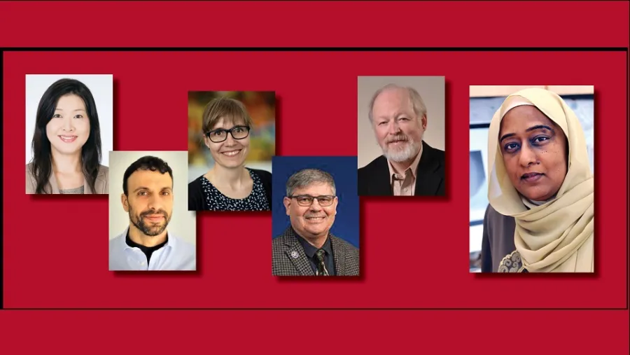 WCM-Q Provides A Virtual Mixed Methods Research Workshop