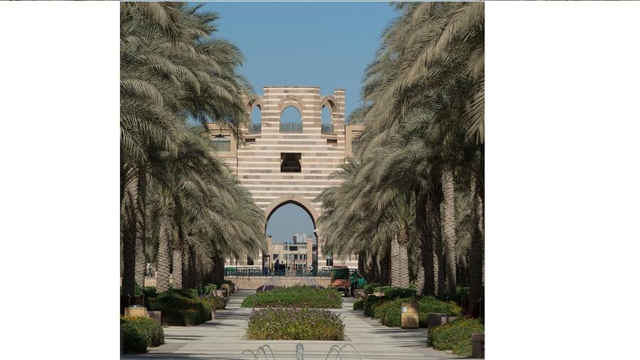 AUC Press Faculty Review Board Launched