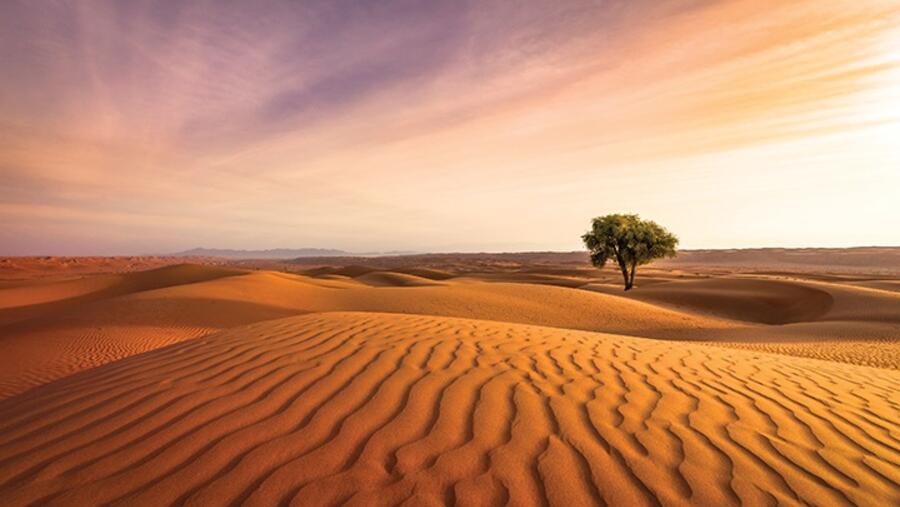 GE White Paper Highlights Pathways To Faster Decarbonization In The GCC’s Power Sector 