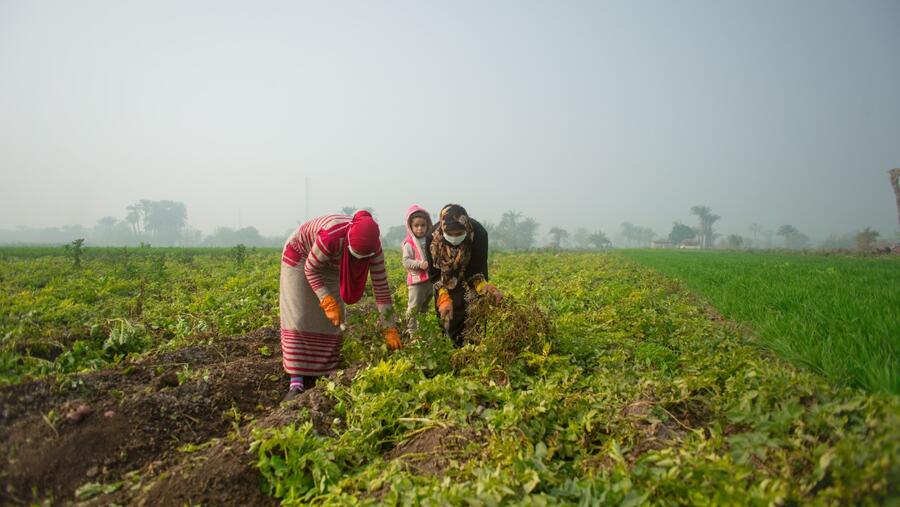 PepsiCo Receives Care Impact Award for Commitment to Gender Equality and Empowering Women in Agriculture Globally