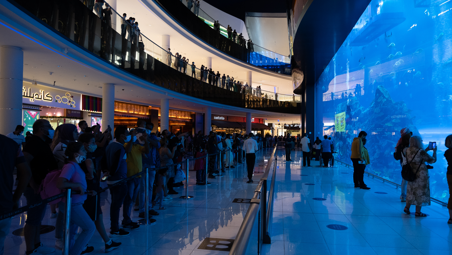 Noon.com Takes Over Dubai Aquarium With News of Yellow Friday Sale