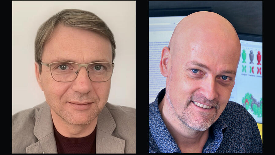 WCM-Q Researchers Identify Protein Markers for COVID-19 Disease