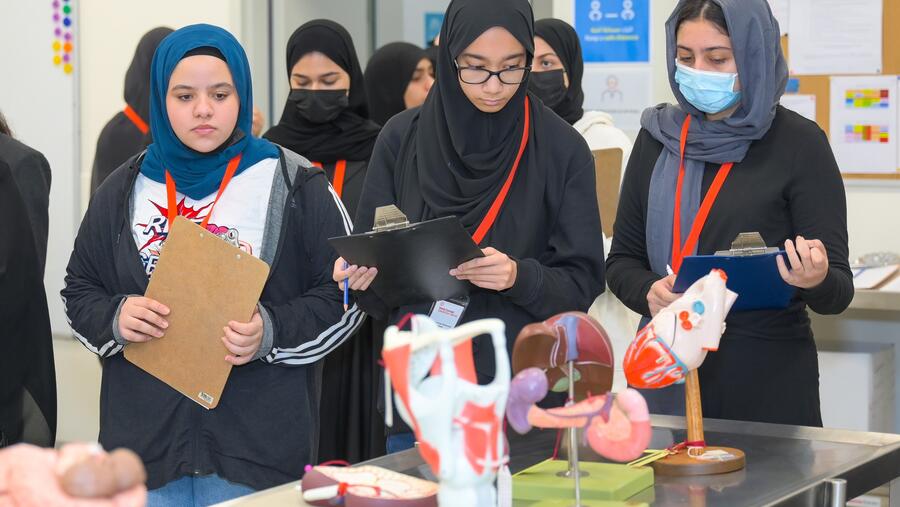 High School Students Scout Careers in Medicine Through WCM-Q’s Summer Programs