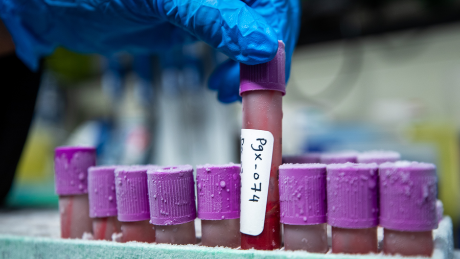 Data From QF’s Qatar Genome Programme Improves Breast Cancer Screening