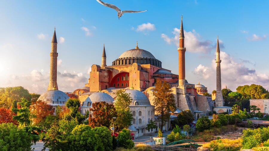 Travel the World With White Friday Sale From Etihad Airways