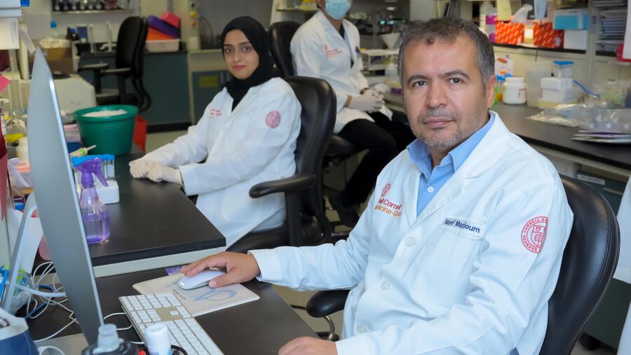 WCM-Q researchers discover mechanisms driving inflammation in obesity, cancer and type 2 diabetes
