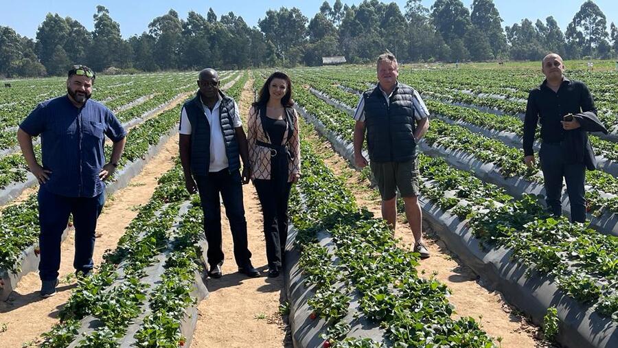 Dubai International Chamber supports Zimbabwean agriculture company expand in Dubai