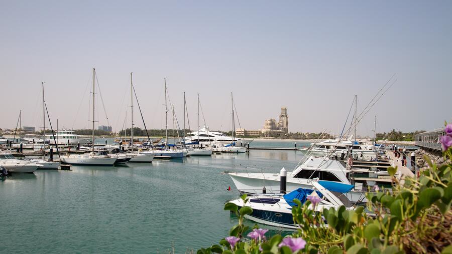 al hamra announces the rebranding of al hamra marina & yacht club as the royal yacht club of ras al khaimah