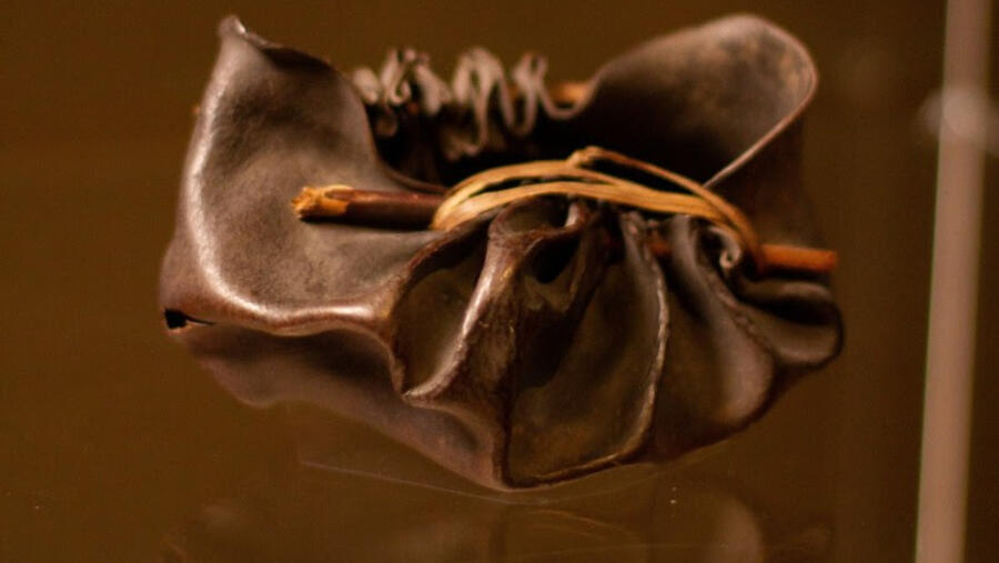 Significant Tasmanian Aboriginal ancestral object returns to Tasmania, Australia after 230 years