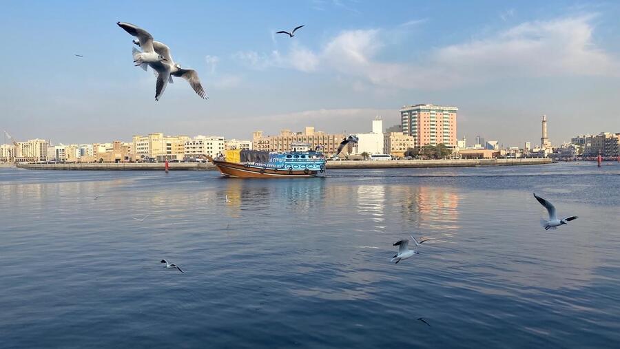 Dubai Culture commissions Alserkal Arts Foundation to position Dubai as a city of public art