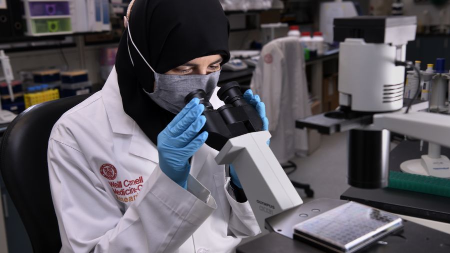  WCM-Q researcher wins prestigious AHA Paul Dudley White international scholar award