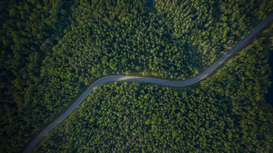 أودي الشرق الأوسط تعزز التنقل المستدام من خلال مبادرة Tree-Nation لإعادة التشجير