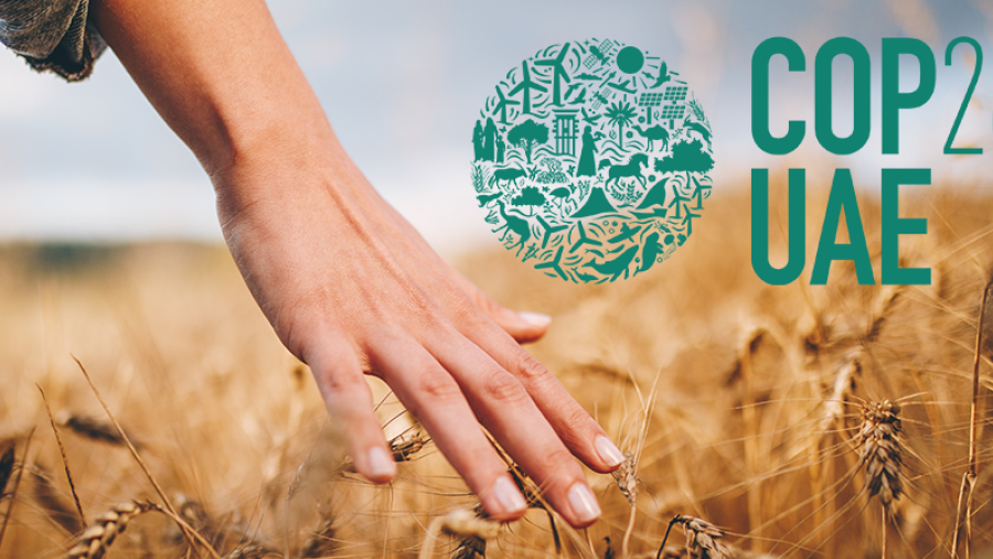 Royal Innovative: “We need a new food system ensuring that we give more to nature than we take from it”