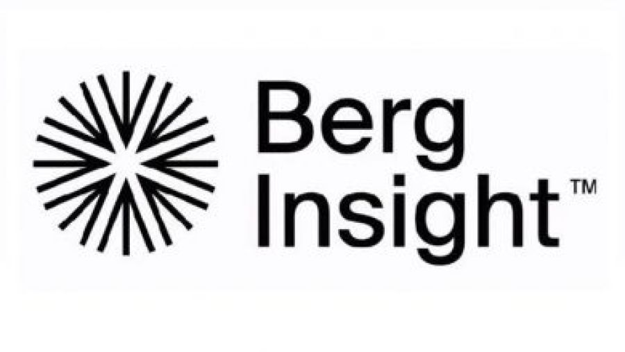 Berg Insight logo